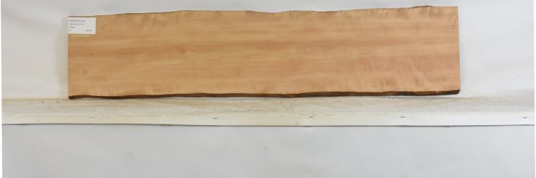 PEARSW1347_1