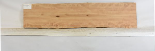 PEARSW1347_2