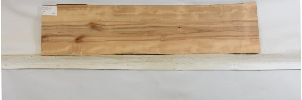 PEARSW1348_1
