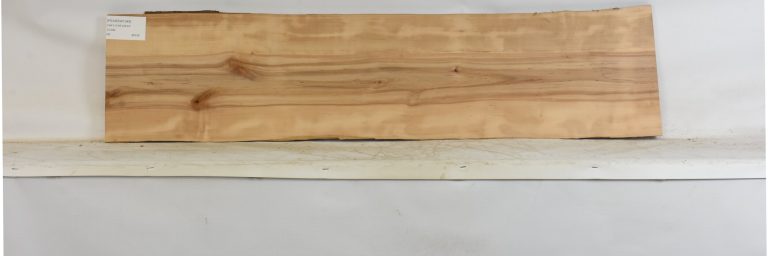 PEARSW1348_1