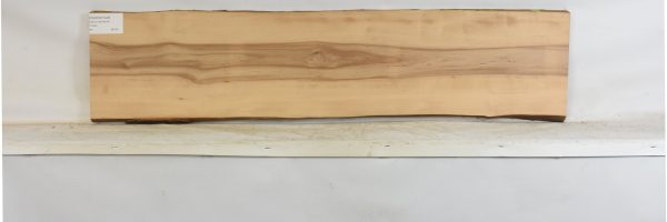 PEARSW1348_2