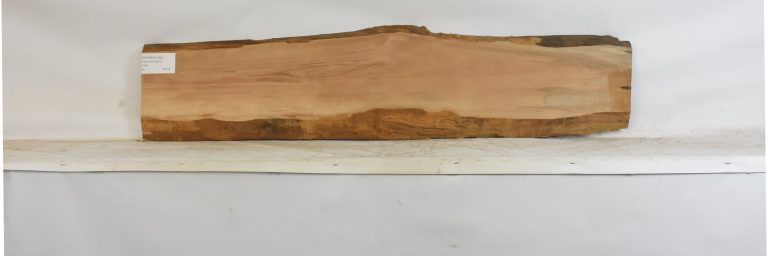 PEARSW1349_1