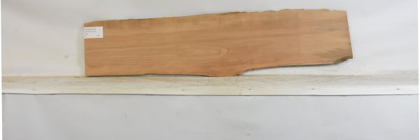 PEARSW1349_2