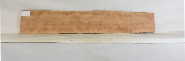 PEARSW1351_1
