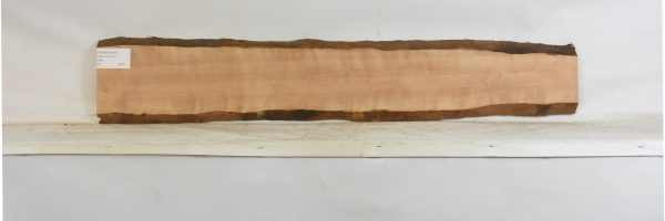 PEARSW1351_2