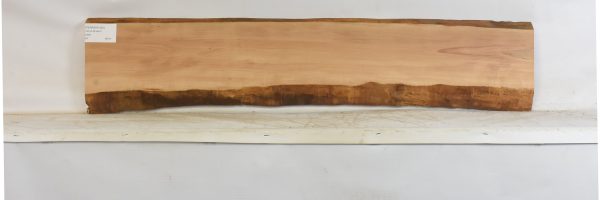 PEARSW1352_2