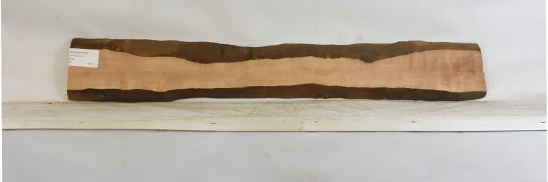 PEARSW1353_1