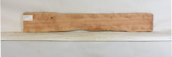 PEARSW1353_2