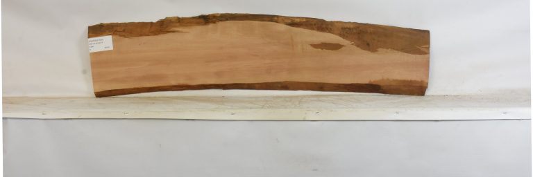 PEARSW1354_1