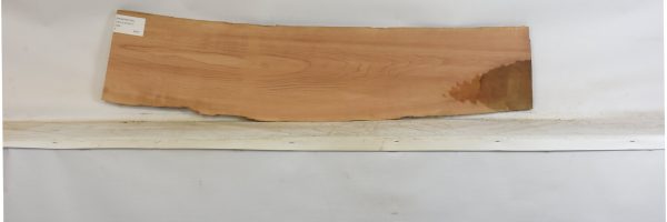 PEARSW1354_2