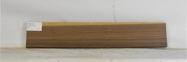 PICN1008_2