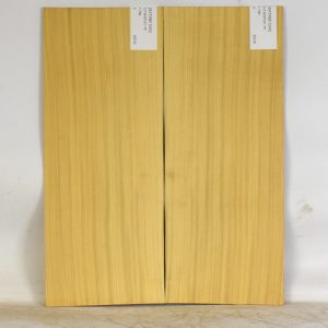SATINEI1243_1
