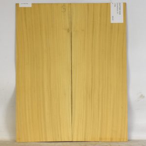 SATINEI1244_1
