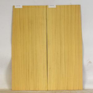 SATINEI1246_1