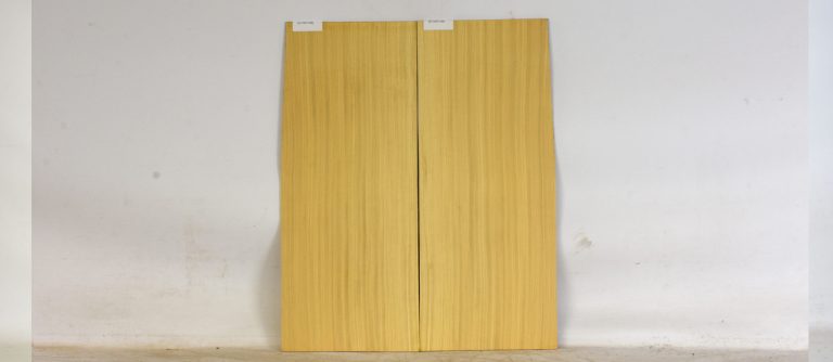 SATINEI1246_1
