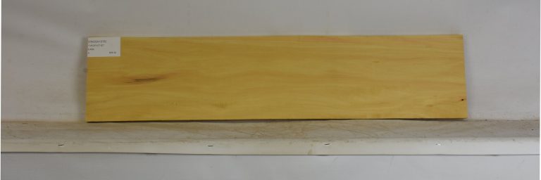 YROSA1078_1