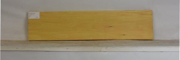 YROSA1079_1