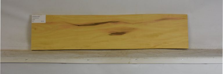 YROSA1080_1