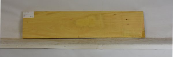 YROSA1081_1