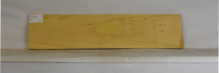 YROSA1081_1