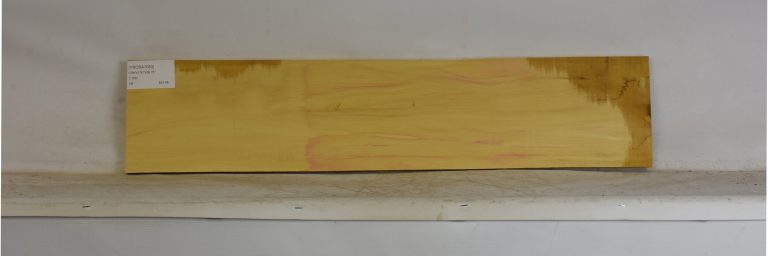 YROSA1083_1