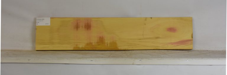 YROSA1085_1