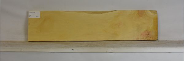 YROSA1088_2
