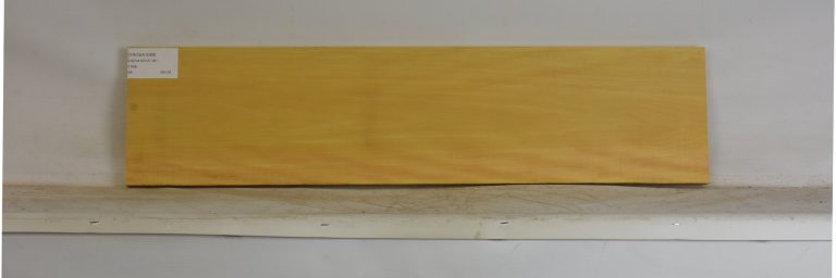 YROSA1089_1