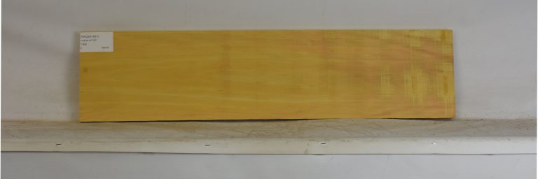YROSA1091_1