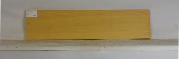 YROSA1091_2