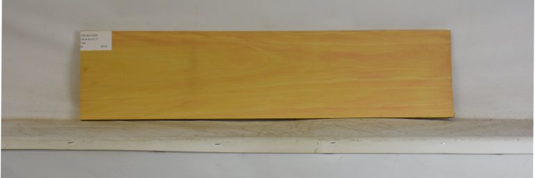 YROSA1092_1