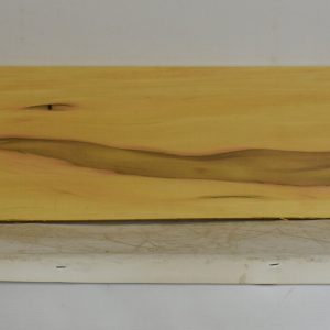 YROSA1093_1