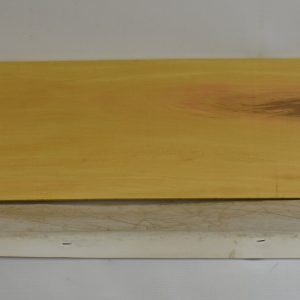 YROSA1095_1