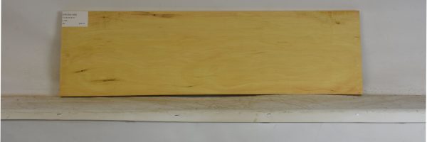 YROSA1099_2