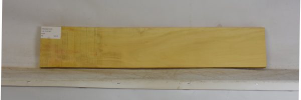 YROSA1101_2