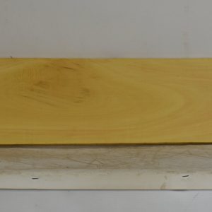 YROSA1102_1