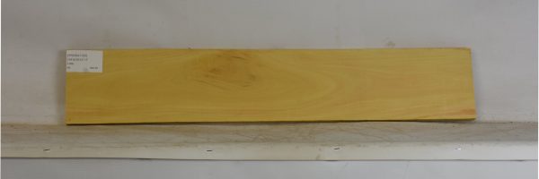 YROSA1102_1