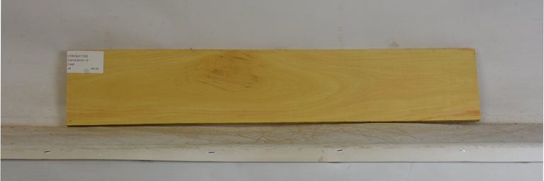 YROSA1102_1