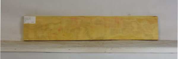 YROSA1102_2