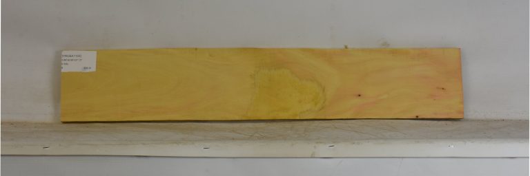 YROSA1103_1