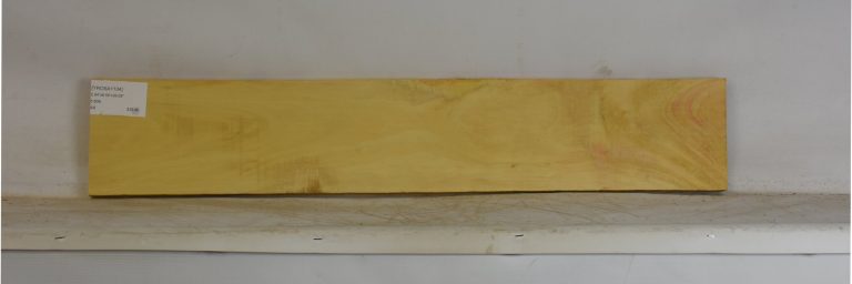 YROSA1104_1