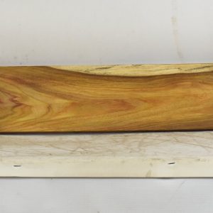CANAR1305_1
