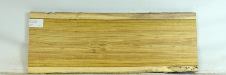 CANAR1327_1