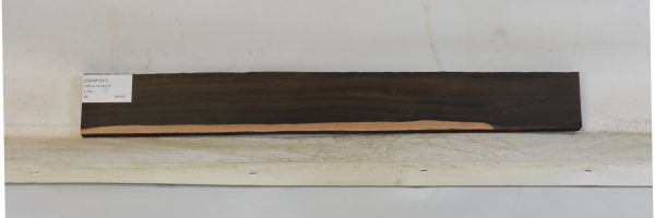 EBAM1247_1
