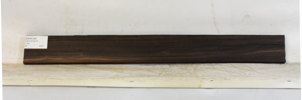 EBAM1248_1