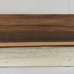 EBAM1251_1