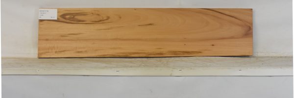 GONC1178_2