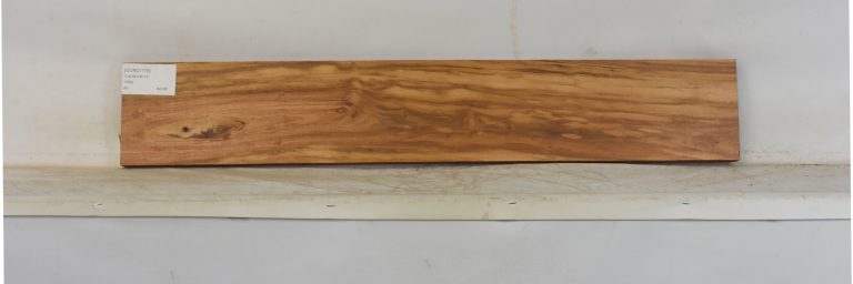 GONC1179_1