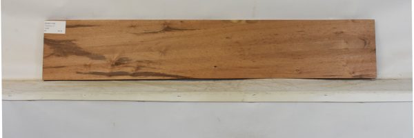 GONC1180_1