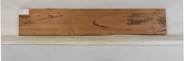 GONC1180_2